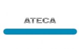 Ateca-N
